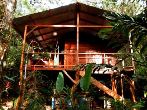 Hotels in Manzanillo